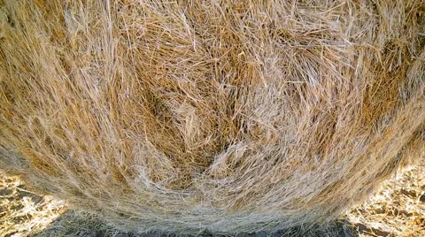 Haystack in autumn summer field, outdoor, close-up Stock Footage 68106698