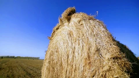 Haystack in autumn summer field, outdoor Stock Footage 68106784