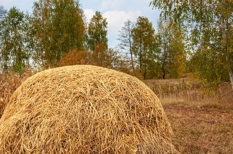 Haystack on a background of autumn trees. Autumn mood Stock Photos