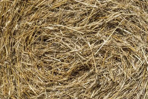 Haystack background. Stock Photos