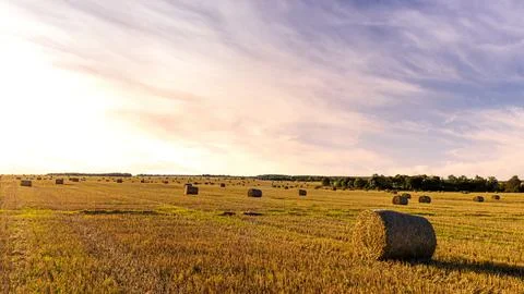 Haystack bale on a golden field landscape at sunset. Rural agricultural sce.. Stock Photos