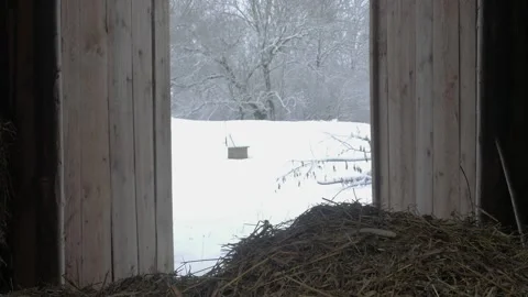 Haystack in a barn. The pitchfork picking up the straw. Winter village. Zoom out Video stock 149808145