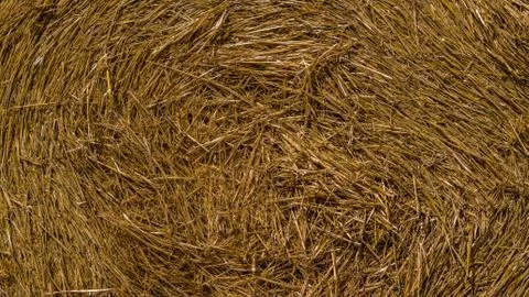 Haystack close up as background texture Stock Photos