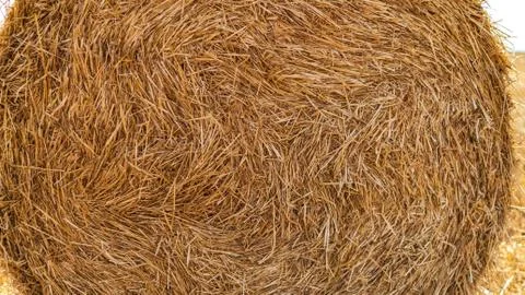 Haystack close up as background texture Stock Photos