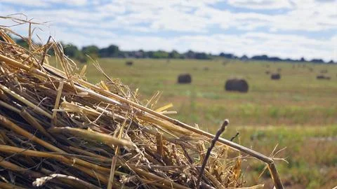 Haystack Close-Up with Field and Hay Bales Stock Photos