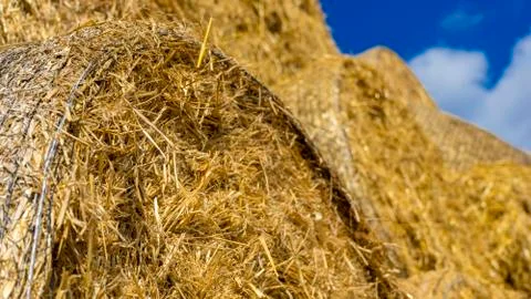Haystack close up. Hay bale against a blue sky. Harvesting hay, dry grass Stock Photos