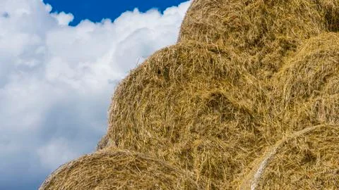 Haystack close up. Hay bale against a blue sky. Harvesting hay, dry grass Stock Photos