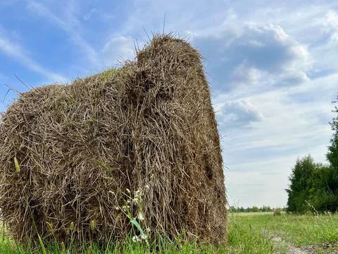 Haystack close-up. Haystack against the background of grass and blue sky. Stock Photos
