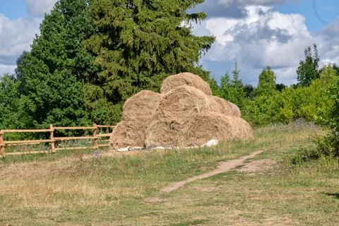 A haystack collected from sheaves in the yard Stock Photos