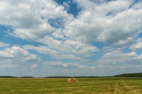 A haystack is drying in the sun. Harvesting wheat and harvesting hay in the f Stock Photos