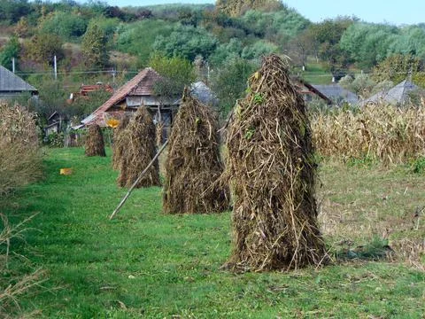 Haystack at farm in Maramures Stockfoto's