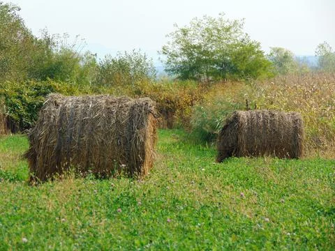 Haystack at farm in Maramures Stockfoto's