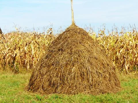 Haystack at farm in Maramures Foto stock