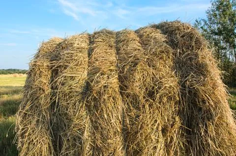 A haystack on the field against a blue sky background Stock Photos