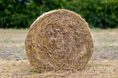 Haystack on a field close up Stock-Fotos