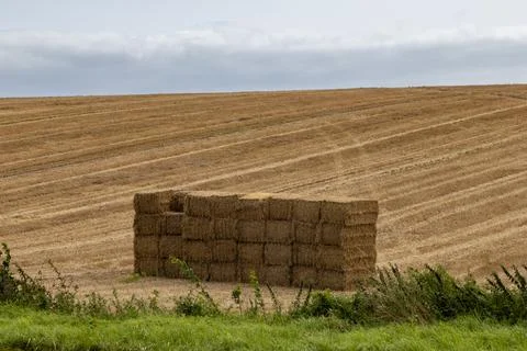 A haystack in a field in Dorset, on a summer's day Stock Photos