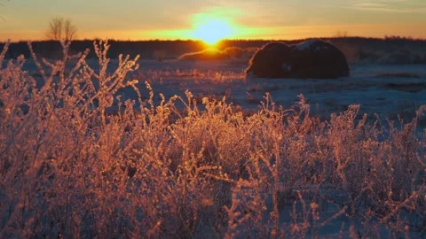A haystack in a field in the early winter morning at dawn. Stock Footage 301550325