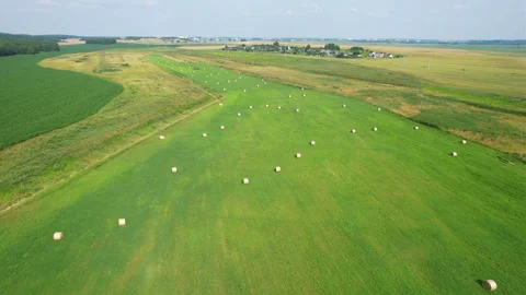 Haystack field. Hay bale from residues grass. 스톡 동영상 167036811