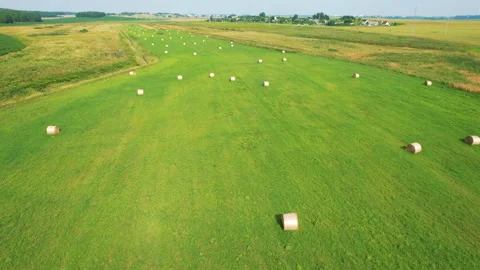 Haystack field. Hay bale from residues grass. 스톡 동영상 167038107