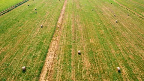 Haystack field. Hay bale from residues grass. Video stock 167038337
