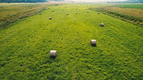 Haystack field. Hay bale from residues grass. Video stock 167038351