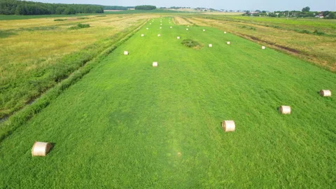 Haystack field. Hay bale from residues grass. Видео 167038358