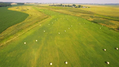 Haystack field. Hay bale from residues grass. Stock Footage 167039270