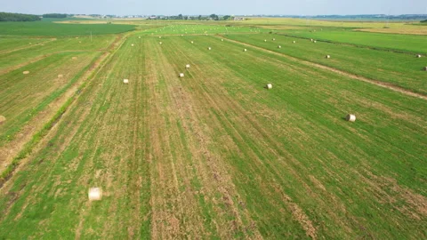 Haystack field. Hay bale from residues grass. Stock-Footage 167039623