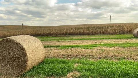 Haystack on field. Hay bale from residues grass. Vidéo 169114958