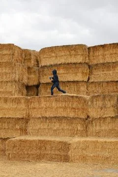 Haystack field person Stock Photos