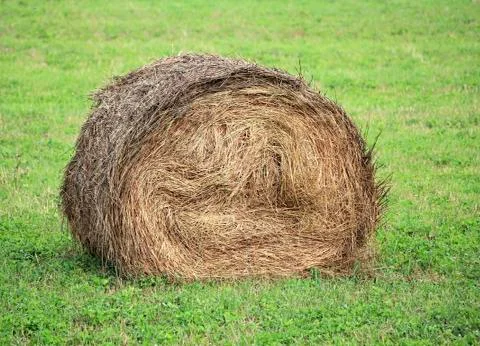 Haystack on the field Foto stock