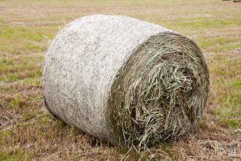Haystack on the field Foto stock