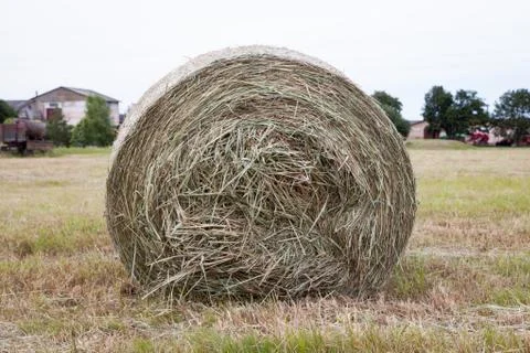 Haystack on the field Foto stock