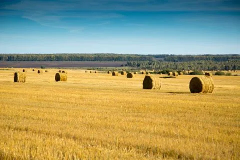 Haystack in a field Stock Photos