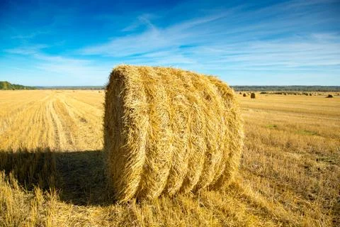 Haystack in a field Stock Photos