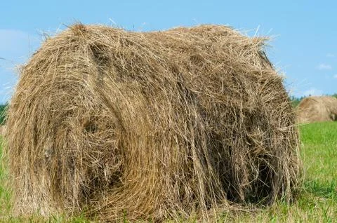 Haystack on the field Stock Photos