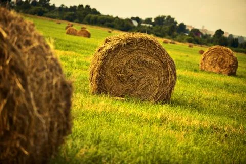 Haystack on a field Stock Photos