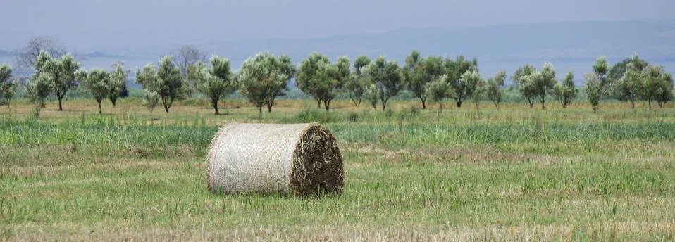 Haystack on the field 스톡 사진