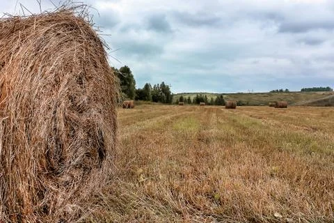 Haystack in the field Stock Photos