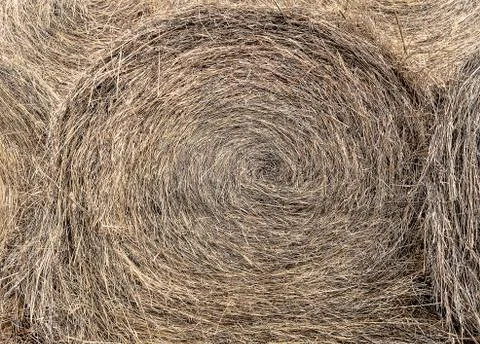 Haystack in the field Foto stock