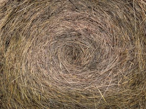 Haystack in the field Stock Photos