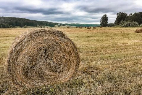 Haystack in the field Stock Photos