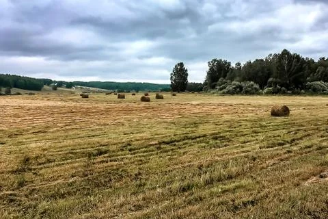 Haystack in the field Stock Photos