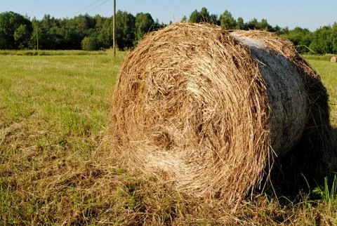 Haystack in a field Stock Photos