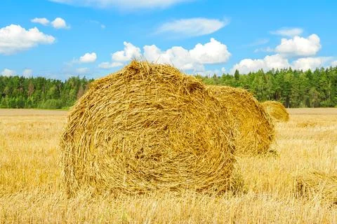 Haystack in a field Stock Photos