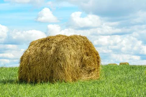 Haystack in a field Stock Photos