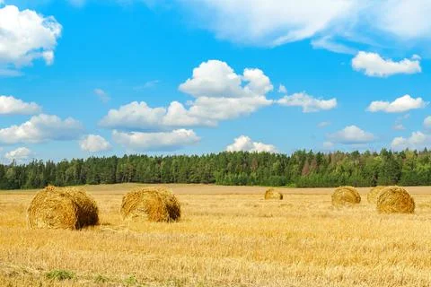 Haystack in a field Stock Photos
