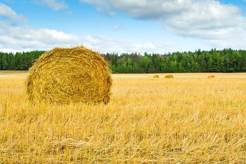 Haystack in a field Stock Photos