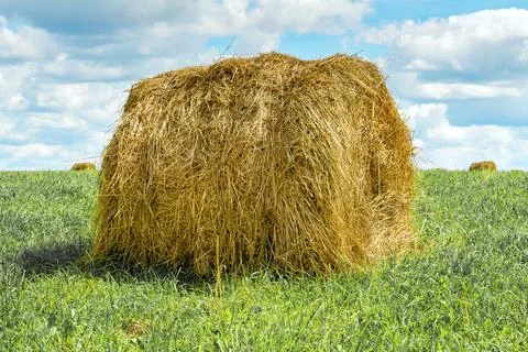 Haystack in a field Stock Photos