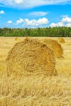 Haystack in a field Foto stock
